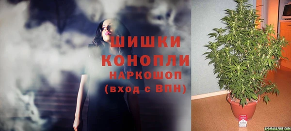 кокс Губаха