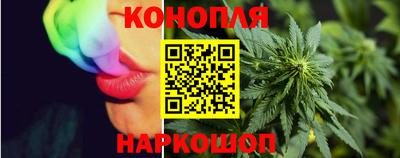 крисы Ирбит