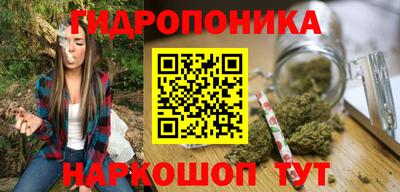 крисы Ирбит