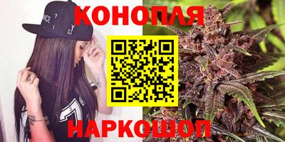 крисы Ирбит