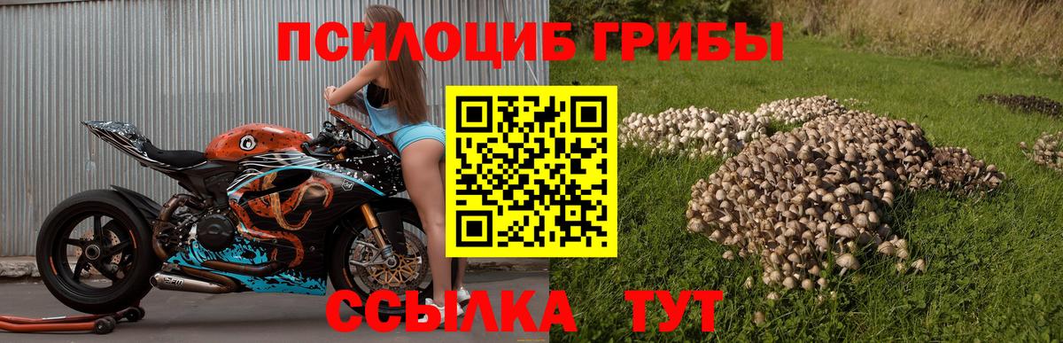 Псилоцибиновые грибы мицелий Азов